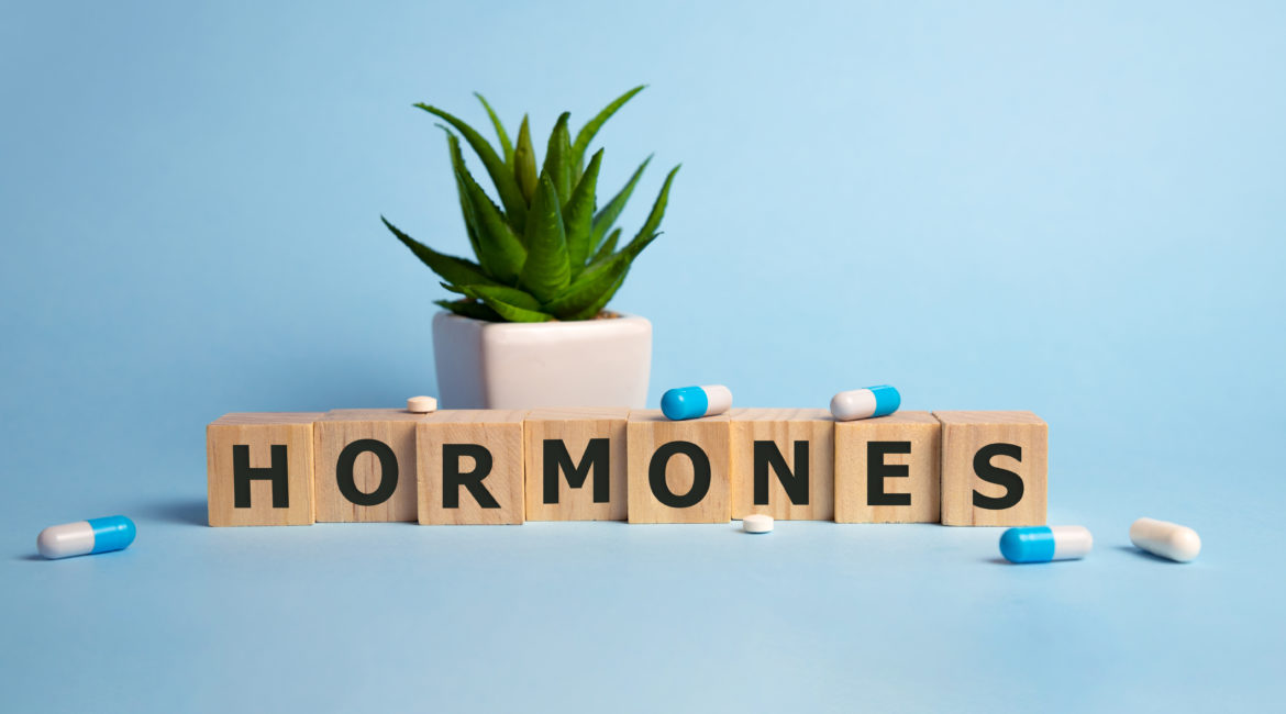 Block letters spell the word "hormones" in front of a plant and blue background. Various pills are scattered around the photo.